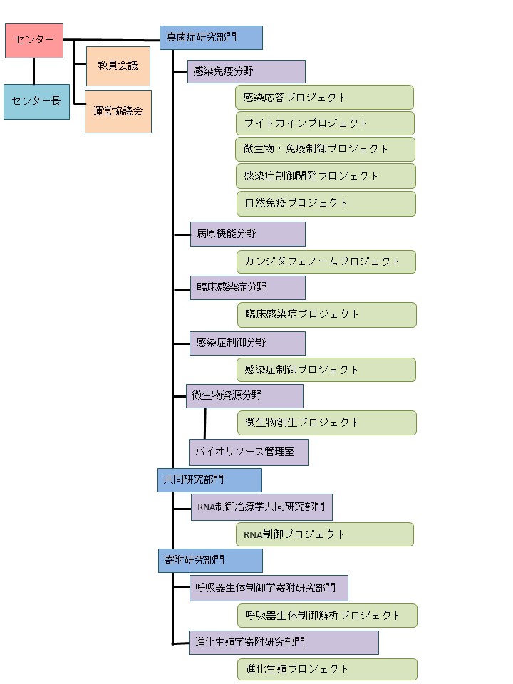 組織図