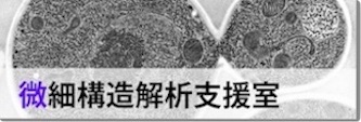 微細構造解析支援室